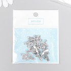 Декор для творчества металл "Мексиканский кактус" серебро 2,6х1,4 см (комплект 8 шт) - фото 21617094