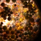 Фигурка светящаяся RISALUX «Зайка», LED-ночник, от батареек, бежевый, 9×14×14 см - Фото 7