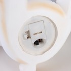 Фигурка светящаяся RISALUX «Зайка», LED-ночник, от батареек, бежевый, 9×14×14 см - Фото 9