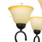 Люстра 2714/6 E27 40Вт черный 72х72х42-72 см BayerLux - Фото 5
