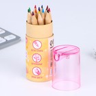 Набор цветных карандашей мини в тубусе «Девчуля», 12 шт, с точилкой - фото 9872989