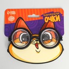 Очки карнавальные «Умник» - Фото 2