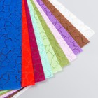 Цветная поделочная вуаль "Тисненная" А4 (10 листов), ассорти - Фото 2