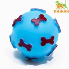 Игрушка пищащая "Мяч Косточки" для собак, 5,5 см, голубая - фото 6614403