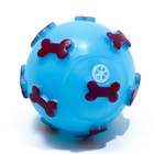 Игрушка пищащая "Мяч Косточки" для собак, 5,5 см, голубая - фото 6614404