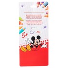 Орден-розетка "Выпускник детского сада", с колокольчиком, Микки Маус и его друзья - фото 119097041