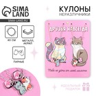 Кулоны парные подвески «Друзья навсегда» - Фото 1