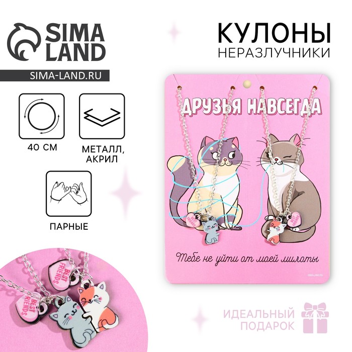 Кулоны парные подвески «Друзья навсегда» - Фото 1