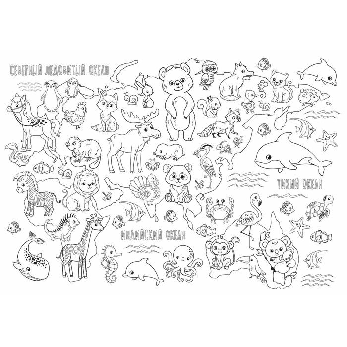 Фотообои раскраска "Животный мир", 1 лист, 70*100 см.