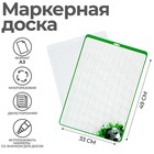 Доска маркерная A3 (49 х 33 см) Calligrata "Мяч", двусторонняя: клетка/линейка - фото 9773154