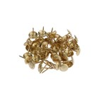 Гвозди ТУНДРА, декоративные, обивочные, фактурные, 11×16 мм, золото, фасовка 50 шт. - Фото 4