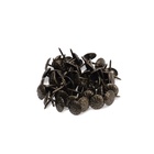 Гвозди ТУНДРА, декоративные, обивочные, фактурные, 11×16 мм, бронза, фасовка 50 шт. - Фото 6