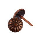 Гвозди ТУНДРА, декоративные, обивочные, фактурные, 11×16 мм, медь, фасовка 50 шт. - Фото 3