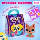 Игрушка-сюрприз Crazy Pets, с наклейками - фото 318906526
