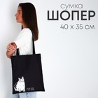 Сумка шопер «Кот» 35 х 0,5 х 40, отд без молнии, без подклада, черная - фото 318906563