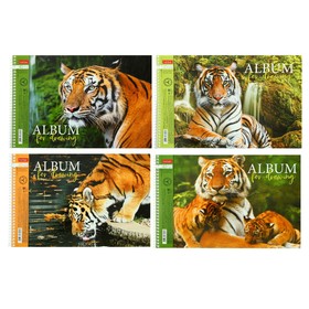Альбом для рисования А4, 40 листов, на гребне, "Дикие кошки", обложка мелованный картон, перфорация на отрыв, блок 100 г/м2, МИКС