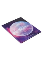 Дневник школьный для 1-11 классов, «Вселенная», твёрдая обложка 7БЦ, глянцевая ламинация, 40 листов - Фото 4