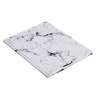 Дневник универсальный для 1-11 классов, «Мрамор СВЕТЛЫЙ», твердая обложка 7БЦ, глянцевая ламинация, 40 листов - Фото 3