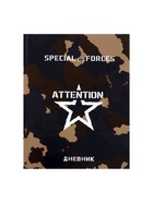 Дневник школьный для 1-11 классов, «Спецназ», твёрдая обложка 7БЦ, глянцевая ламинация, 40 листов - Фото 3