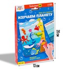 Обучающий набор «Изучаем планету», подводный мир - Фото 2