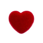 Носик винтовой с заглушкой, ворсистый, набор 6 шт., размер 1 шт.: 1.6×1.5 см - Фото 2