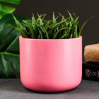 Кашпо "Овал" 14х12см, пыльная роза - фото 42873505