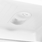 Холодильник MAUNFELD MFF180W, двухкамерный, класс А+, 260 л, белый - фото 51455799 Холодильник MAUNFELD MFF180W, двухкамерный, класс А+, 260 л, белый - фото 51455799