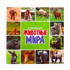 Набор фигурок животных с обучающими карточками «Животные мира» - фото 24616750 Набор фигурок животных с обучающими карточками «Животные мира» - фото 24616750
