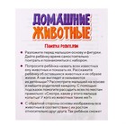 Набор фигурок животных с обучающими карточками «Домашние животные» - фото 24424377 Набор фигурок животных с обучающими карточками «Домашние животные» - фото 24424377