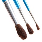 Набор кистей Пони 3шт Синий трактор (№2,5,8) цветные ручки - фото 34947707