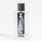 Туалетная вода мужская Ferrum "Silver Cold', 100 мл - Фото 4