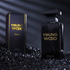 Туалетная вода мужская Young Wood "Black", 100 мл 7998990 - фото 9778288