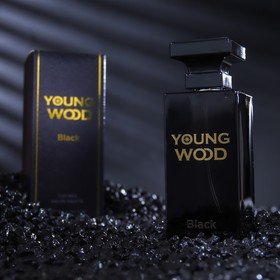 Туалетная вода мужская Young Wood "Black", 100 мл 7998990