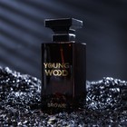 Туалетная вода мужская Young Wood "Brown", 100 мл 7998991 - фото 14050582