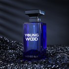 Туалетная вода мужская Young Wood "Indigo Ray", 100 мл 7998994