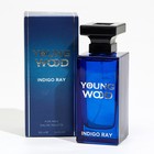 Туалетная вода мужская Young Wood "Indigo Ray", 100 мл 7998994