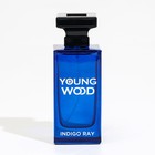 Туалетная вода мужская Young Wood "Indigo Ray", 100 мл 7998994