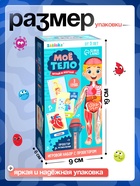 Игровой набор с проектором «Моё тело», звук, свет, 24 карточки - Фото 2