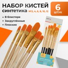 Набор кистей для рисования, синтетика, 6 штук: №2, 4, 6, 8, 10, 12 плоские, закругленные, деревянная ручка, международный размер - Фото 1