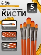 Набор кистей для рисования, синтетика, 5 штук: № 2, 4, 6, 8, 10, плоские, в блистере, международный размер - Фото 1