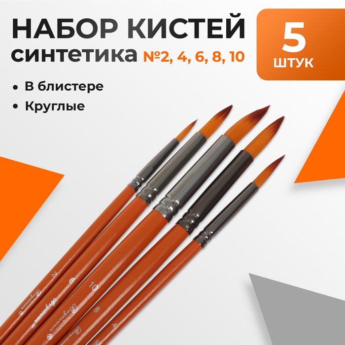 

Набор кистей синтетика, 5 штук (№2,4,6,8,10), круглые, в блистере