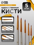 Набор кистей для рисования, синтетика, 5 штук: № 2, 6, 8, 10, 12, круглые, в блистере - Фото 1