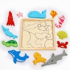 Детский развивающий пазл в рамке «Морские животные» 16,6 × 16,6 × 1,2 см - фото 6617302