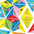 Познавательная игра «Изучаем английский. Animals», 36 карточек 5+ - Фото 5