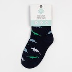 Носки детские KAFTAN «Динозавры», размер 16-18, синие - фото 24700371