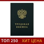 Бланк "Трудовая книжка с голограммой" 7998841 - фото 9782086