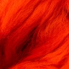 Волокно для валяния Валяшка LG_Wool Fine тонкая шерсть 100% 100 гр (670 морков.) - Фото 3