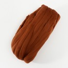 Волокно для валяния Валяшка LG_Wool Fine тонкая шерсть 100%  100 гр (219 т.золото) - Фото 2