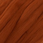 Волокно для валяния Валяшка LG_Wool Fine тонкая шерсть 100%  100 гр (219 т.золото) - Фото 3