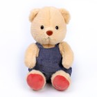 Мягкая игрушка «Мишутка в комбинезоне», цвет МИКС - фото 318911736